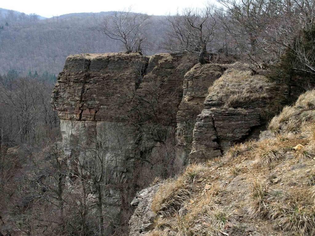 Hotel Weinschanke Rohdental Hessisch Oldendorf Kültér fotó